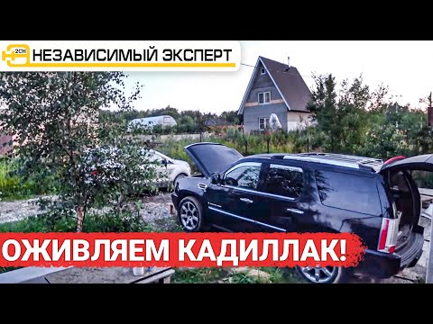 Видео: Деревенское Оживление Кадилака