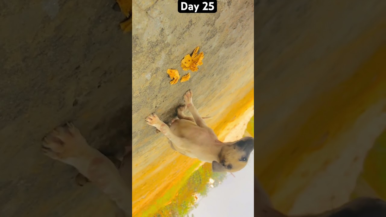 Day 25 Dharm se karm Kro 