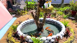 How to Build A Beautiful Aquarium - For Your Garden