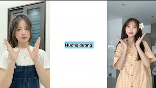 💥Tổng Hợp Nhạc Trend Tik Tok:Top 30 Bài Nhạc Dance Xu Hướng,Hot Trend Trên TikTok VN#14