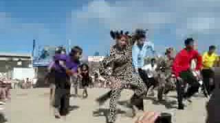 Gillis 2008 The Wiggles