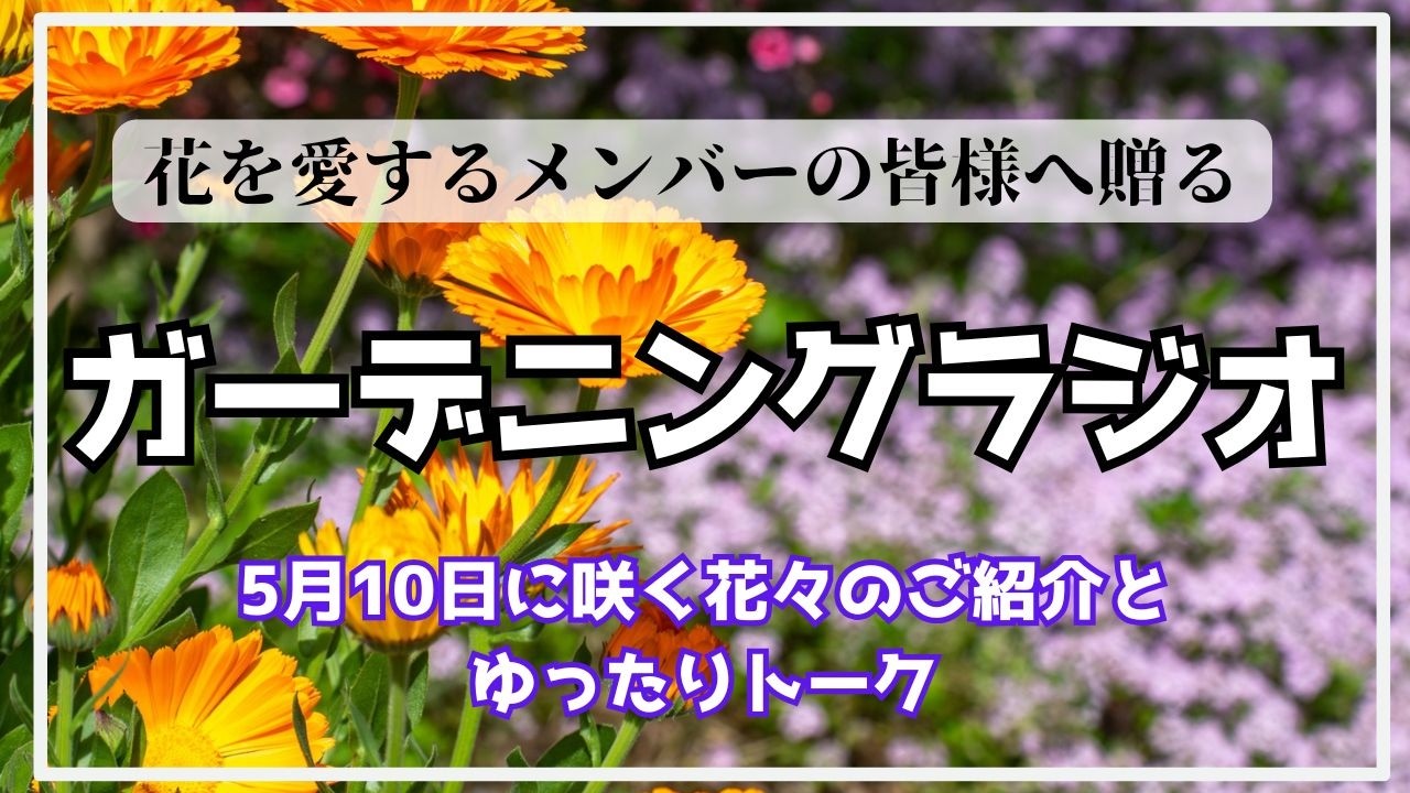 フラワー・ガーデニング Sunday's Mama Membership Video] Introducing birth flowers, messages, and a