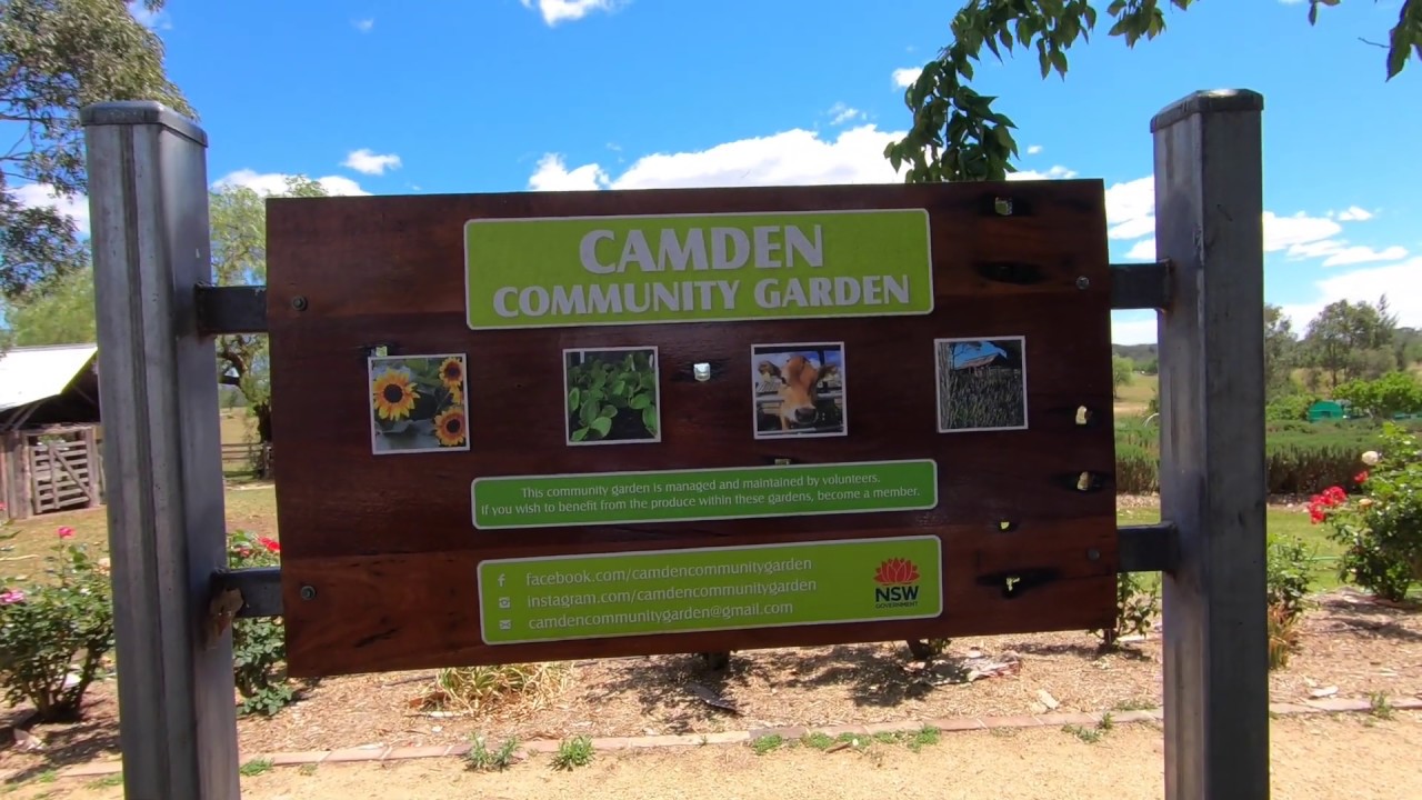 Camden Produce Market I Macarthur Region, Sydney YouTube