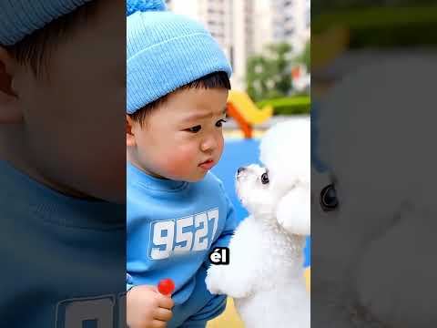 El Zapato Del Niño Travieso Desapareció 😂