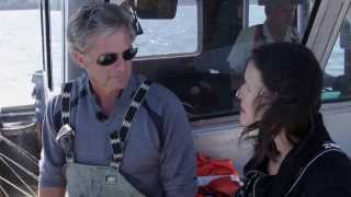 ThisFish seafood traceability program