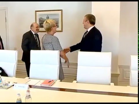 შეხვედრა ევროპის საბჭოს საპარლამენტო ასამბლეის თანამომხსენებლებთან