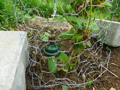 hopfenanbau-teil-1-playlist-27--ideen-mal-umgesetzt