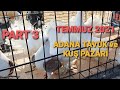 YASAKLAR SONRASI ADANA TAVUK KUŞ PAZARI PART 3