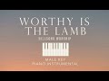 WORTHY IS THE LAMB⎜Hillsong Worship (Male Key) Piano Instrumental Cover with lyrics by GershonRebong