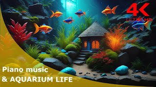 El poder del acuario: relajación y vida en el acuario con música relajante de piano screenshot 5