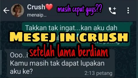 Mesej Untuk Crush|bahagia Crush yang pengertian