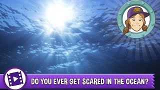 Ask Tierney - Are you ever scared exploring the ocean