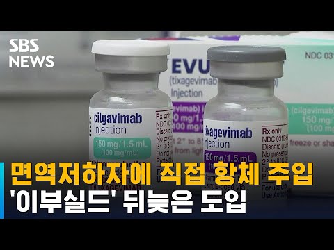 면역저하자에 직접 항체 주입 &amp;#39;이부실드&amp;#39; 뒤늦은 도입 / SBS