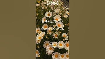 سورة البلد #المصحف #اكسبلور #quran #قران_كريم #لايك #راحة_نفسية