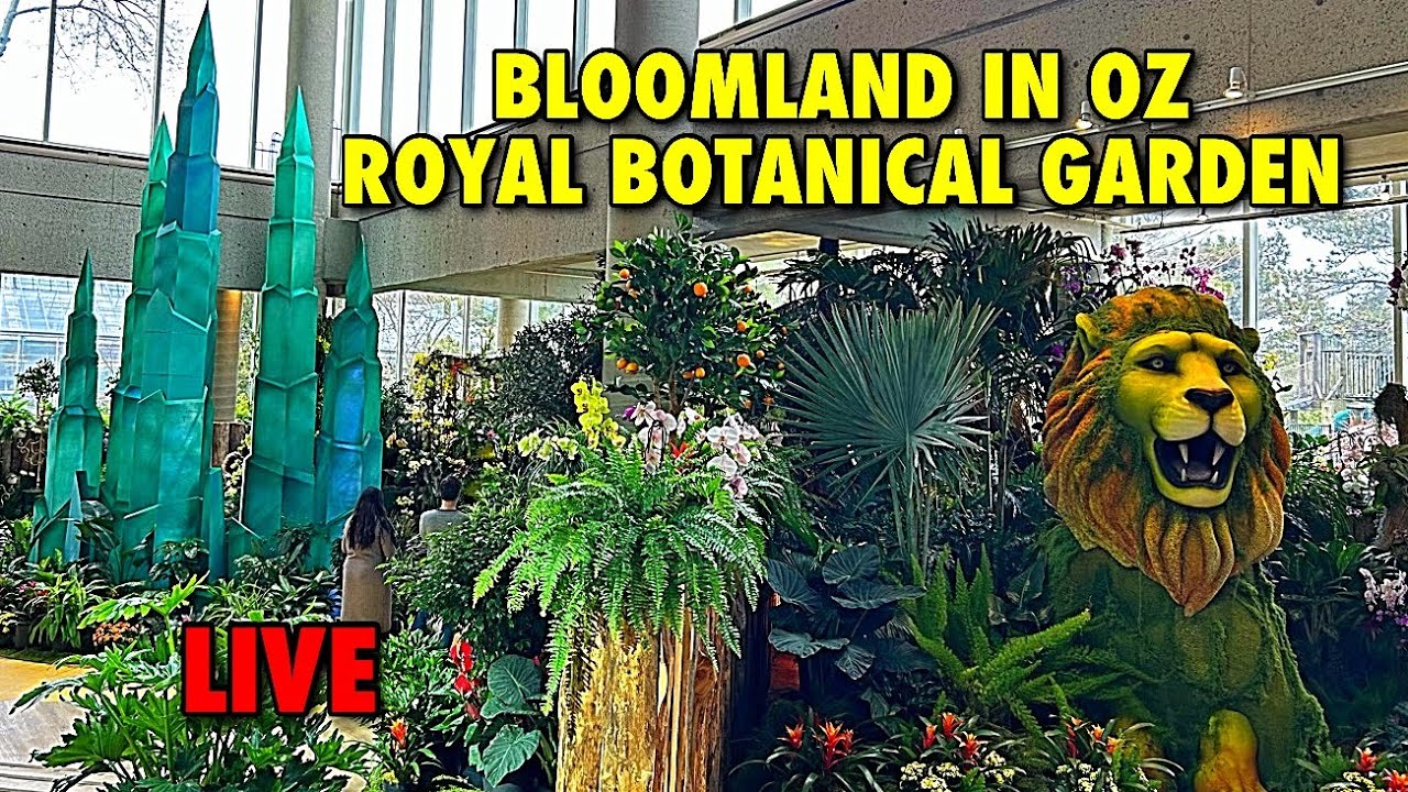 🔴 Live: Bloomland in Oz Royal  Botanical Gardens Canada #live #livestream