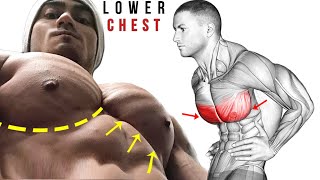 افضل تمارين الصدر السفلي لنمو الصدر بسرعة - LOWER CHEST