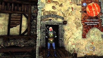 Bug: Triss in the wall