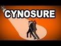 Learn English Words - CYNOSURE - Meaning, Vocabulary with Pictures and Examples