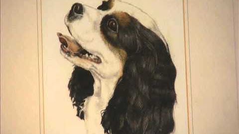 Blue midget Red Dwarf fan made music (C) AwH