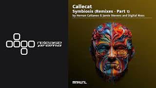 PREMIERE: Callecat, Nick Varon - Beyond Perceptions (Hernan Cattaneo & Jamie Stevens Remix) [Manual]