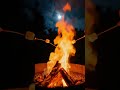 Late Night Campfire Under the Moon 🌙🔥#relax #Campfire #NightVibes