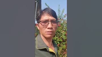 Mùa Khô Ở Tây Nguyên Dry Season In The Central Highlands #huuletrongtrot #agriculture #caytrong234