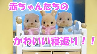 【ｼﾙﾊﾞﾆｱﾌｧﾐﾘｰ】カーペットの上で赤ちゃんたちがかわいく寝返り【sylvanian families】