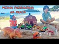 Fazendinha do felipe canopf  frias na praia a areia cobriu o boi vaca cavalo trator  toy farm caw