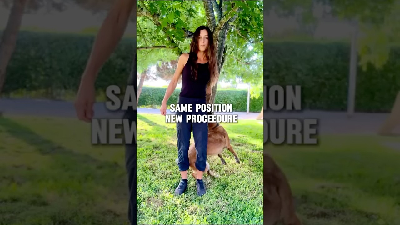 Spinning around body to different positions 