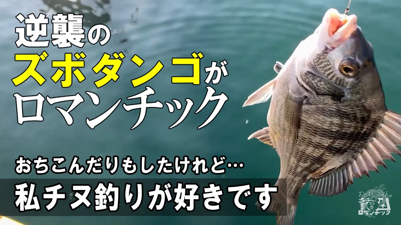 チヌ釣り【逆襲のズボダンゴ！】おちこんだりもしたけれど私チヌ釣りが好きです！ep.087