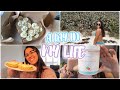 A DAY IN MY LIFE | current split, ab workout, meals