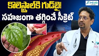How To Burn Cholesterol In The Body Dr Mukherjee .Sakshi