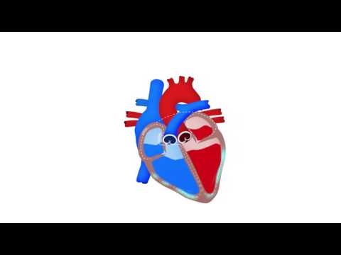 Vidéo: Le Risque D'arrêt Cardiaque Soudain Et D'arythmie Ventriculaire Avec La Rosiglitazone Par Rapport à La Pioglitazone: Données Réelles Sur L'innocuité De La Thiazolidi