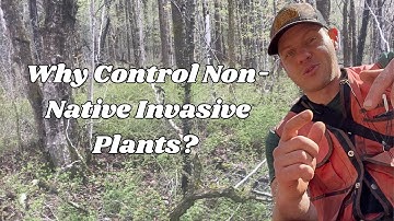 Why Do We Control Non-Native Invasive Plants in Our Forests?