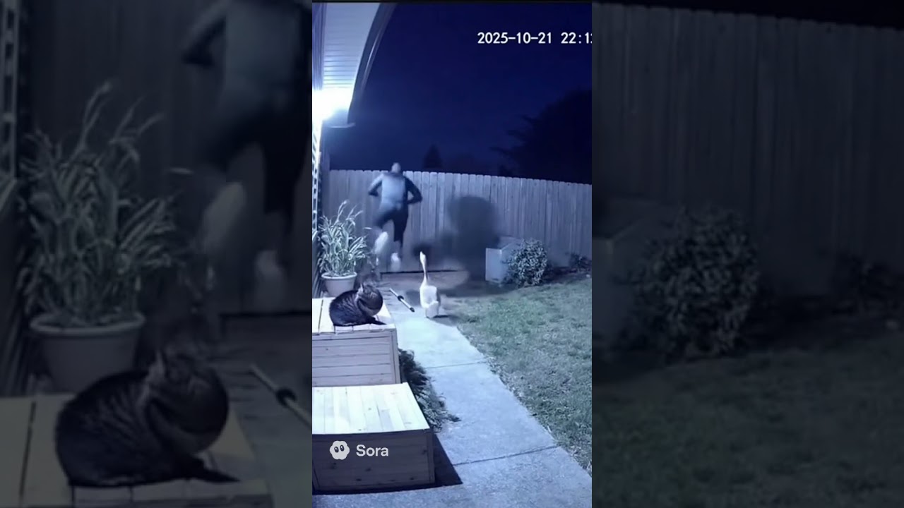 Goose vs Ninja: The Yard Defender 🦆 Гусак проти ніндзя: Охоронець двору