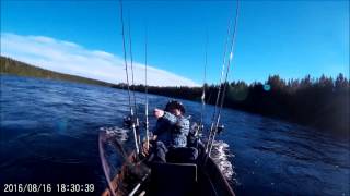 Guiding on salmon river