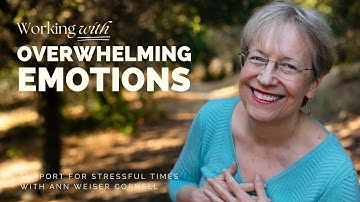 Support for Stressful Times - Help with Overwhelming Emotions