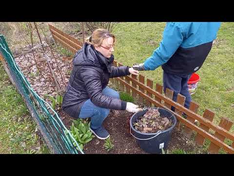 ПОДГОТОВКА ДАЧИ К ПРОДАЖЕ/ ГЕРМАНИЯ