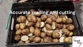 Two Lane Potato Grader Halver
