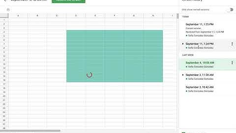 How to Save and Use Version History on Google Sheets