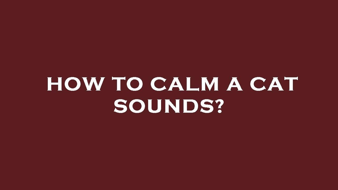 How To Calm A Cat Sounds YouTube how-to-calm-a-cat-sounds-youtube