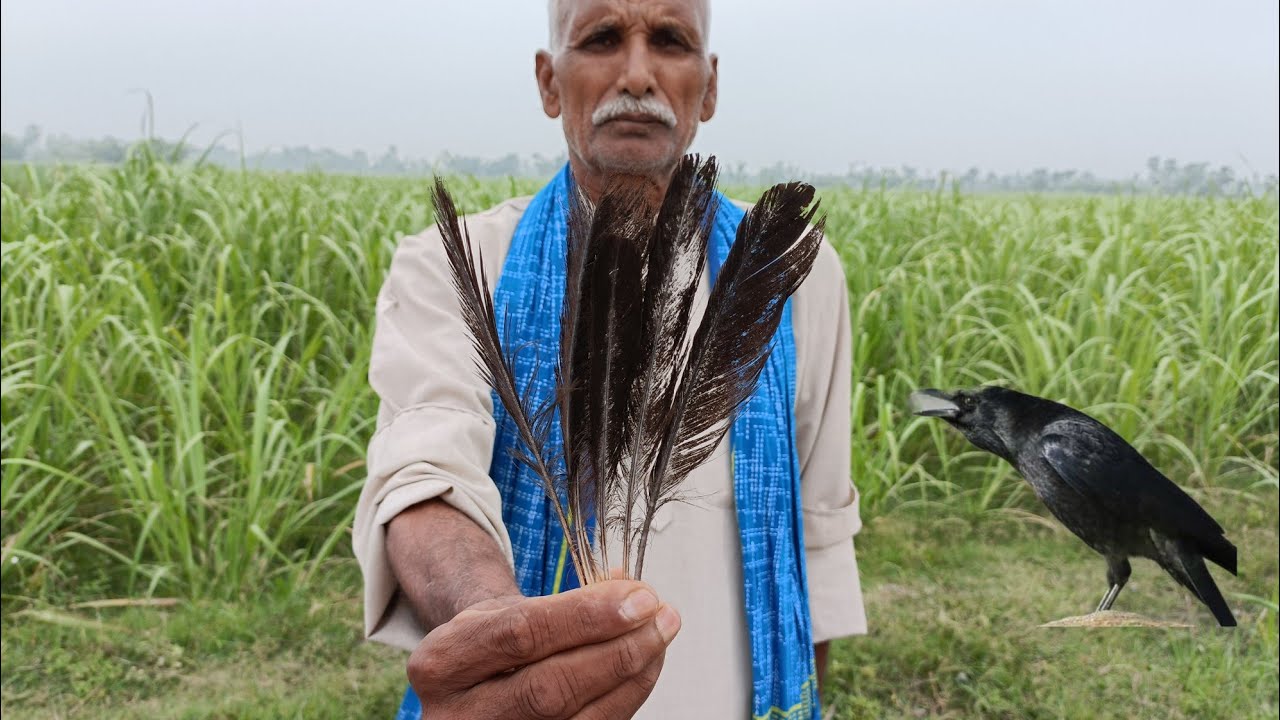 रामबाण तिलक एक दिन मे देखे चमत्कार ग्रंथों के अनुसार गरीब व्यक्ति भी कुछ ही दिनो मे धनवान बन जाय