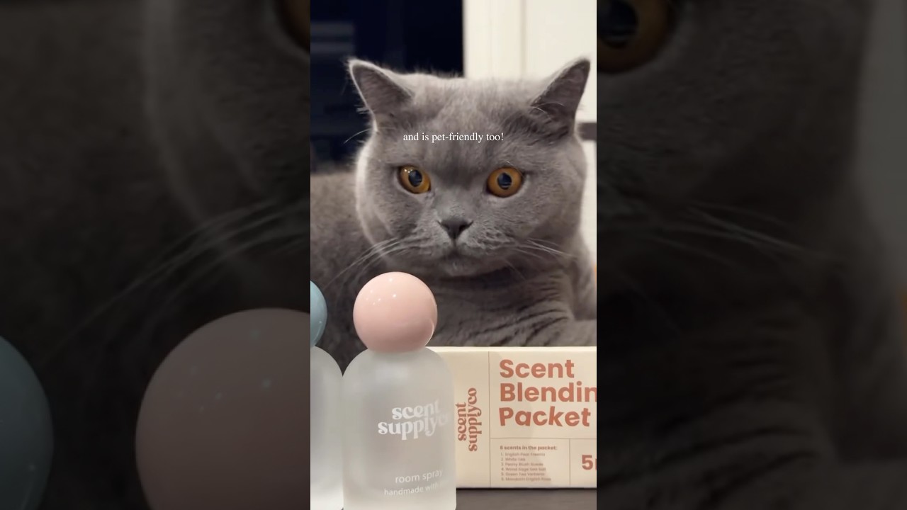 Create your perfect scent with our DIY Room Spray Kit! 