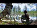 Foraging Wild Food ° Pine cone Syrup ° Natural DIY herbal Haircare ° Vlog 12 ° Northern Sweden