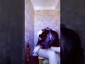 مالڨري نغلط يروح ويولي هذا شير يقتلني دعم اشتراك متابعة ليصلكم كل جديد