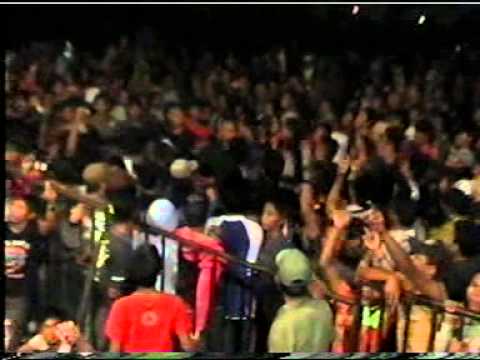 BOKONG RATNA SEMOK (RATNA BONSAI ALAM JAYA)