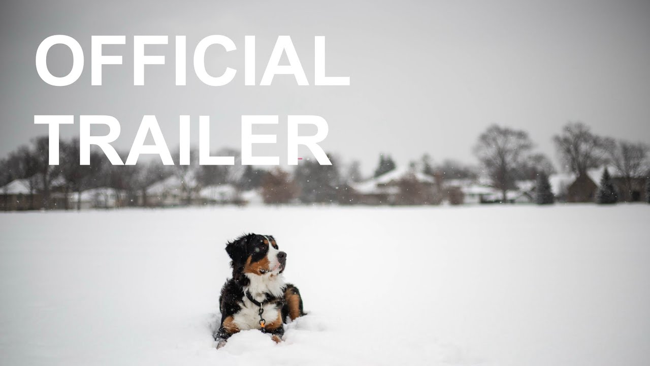 The Poop Eater | Official Trailer - YouTube