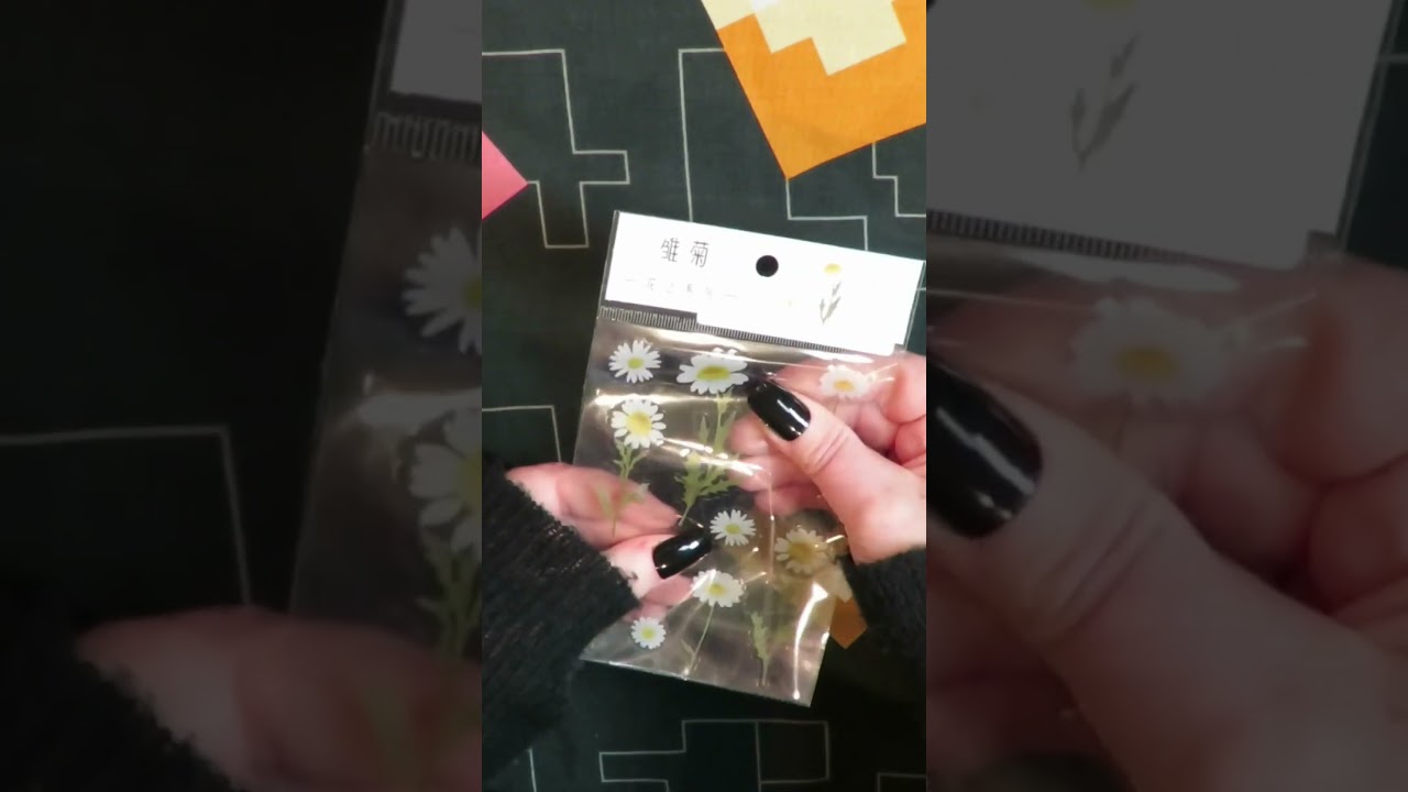 9 seconds squeezing daisy sticker sheet 