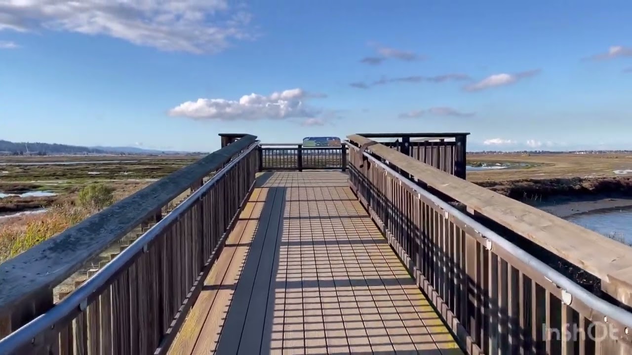 Hiking in Bair Island, Wednesday, Dec 7