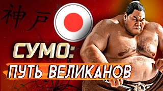 видео: 🔥СЕКРЕТЫ их роста и МОГУЧЕЙ СИЛЫ! Почему сумоистам ЗАПРЕЩЕНО водить авто? ФАКТЫ которые вас поразят! картинка: 🔥СЕКРЕТЫ их роста и МОГУЧЕЙ СИЛЫ! Почему сумоистам ЗАПРЕЩЕНО водить авто? ФАКТЫ которые вас поразят!